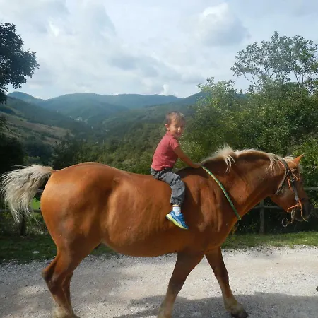 Foglie Alloggio per agriturismo Gubbio